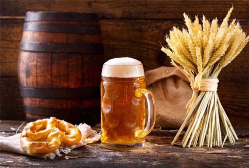 德国啤酒销售服务介绍 广东宏红食品贸易